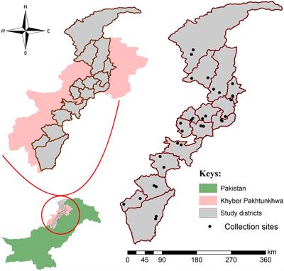 Assessment of cypermethrin and amitraz resistance and molecular profiling of voltage-gated sodium channel and octopamine tyramine genes of Rhipicephalus microplus